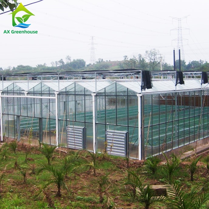 venlo glass greenhouse venlo glass greenhouse