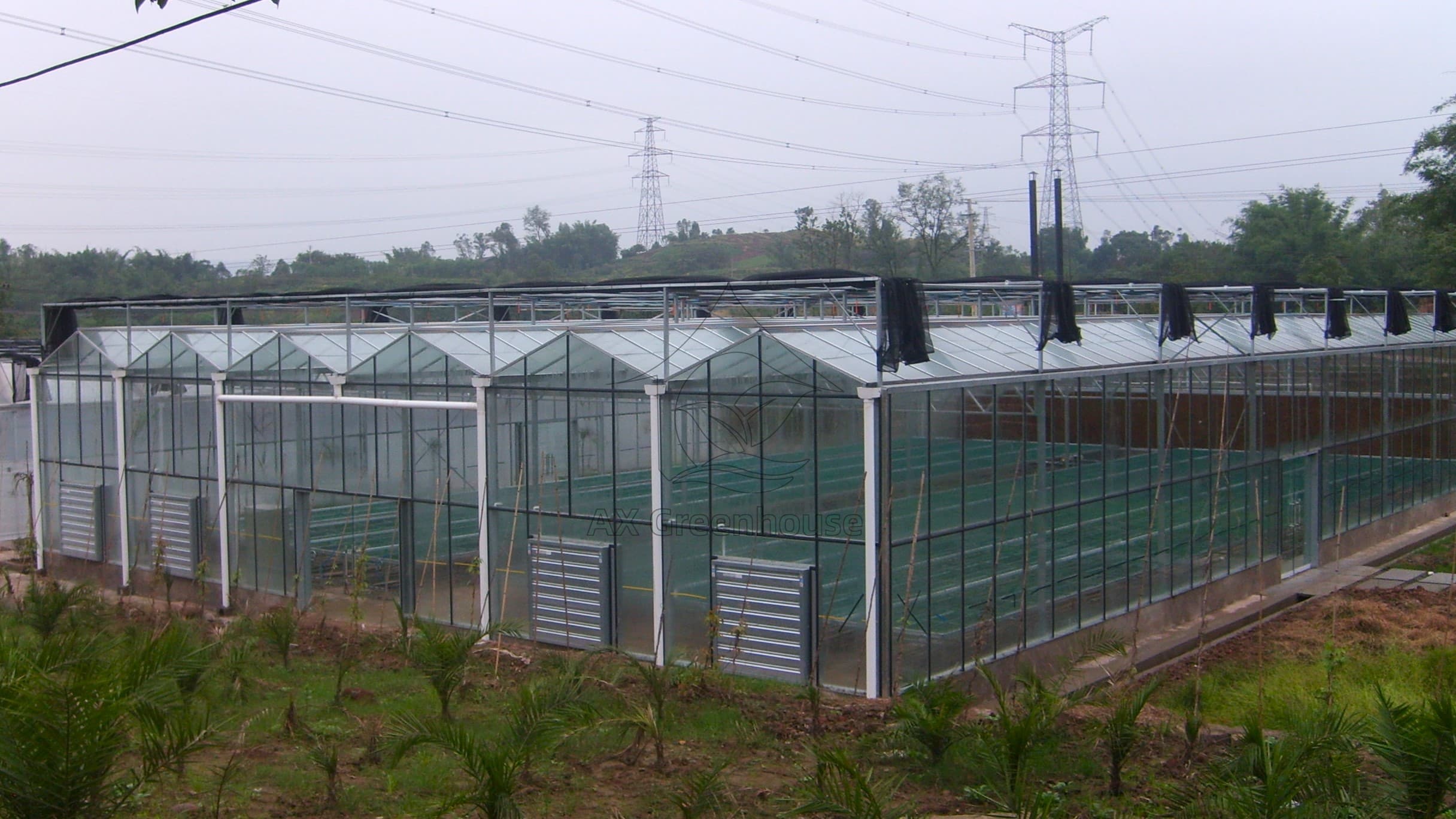 venlo glass greenhouse with Circulation fan, external sunshade net