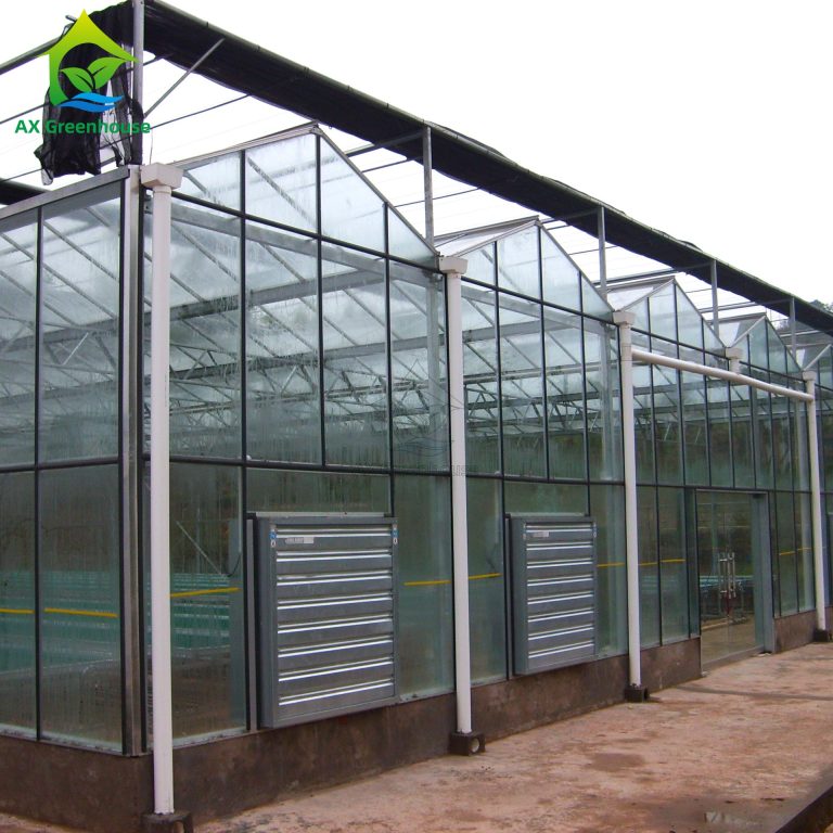venlo glass greenhouse