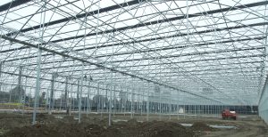 Hot-dip galvanized steel pipe greenhouse structure
