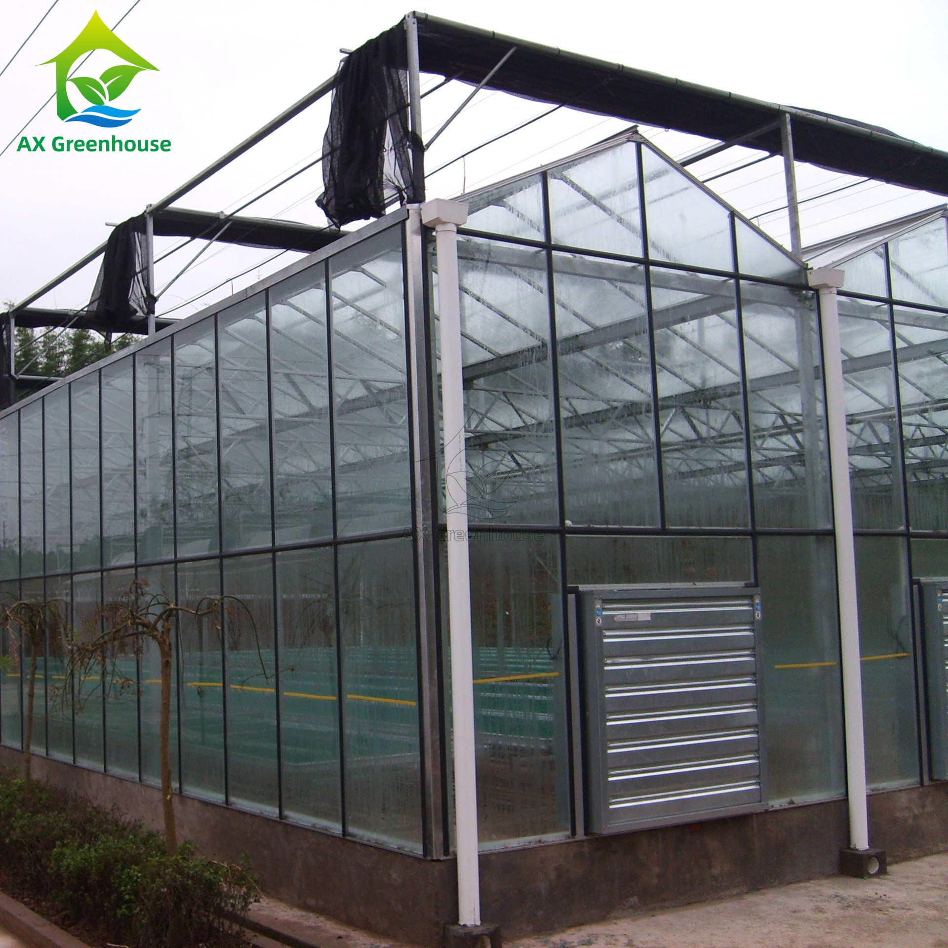 venlo glass greenhouse venlo glass greenhouse