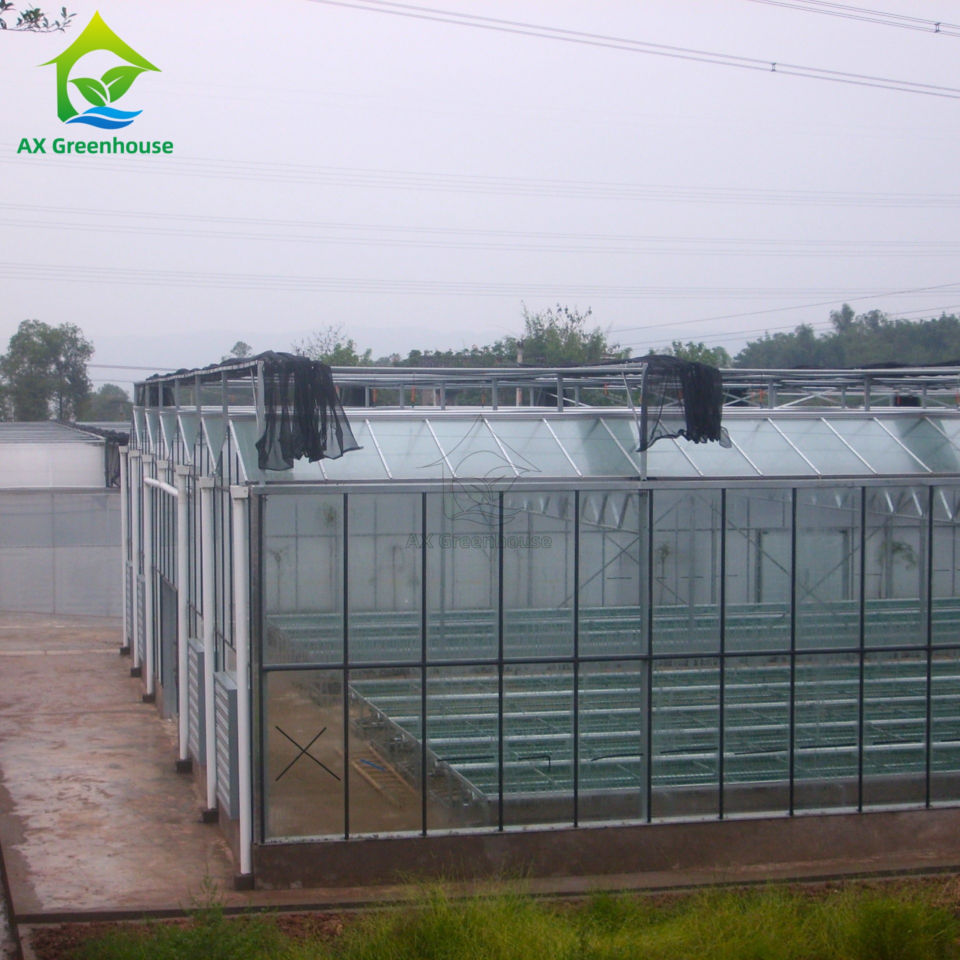 venlo glass greenhouse venlo glass greenhouse