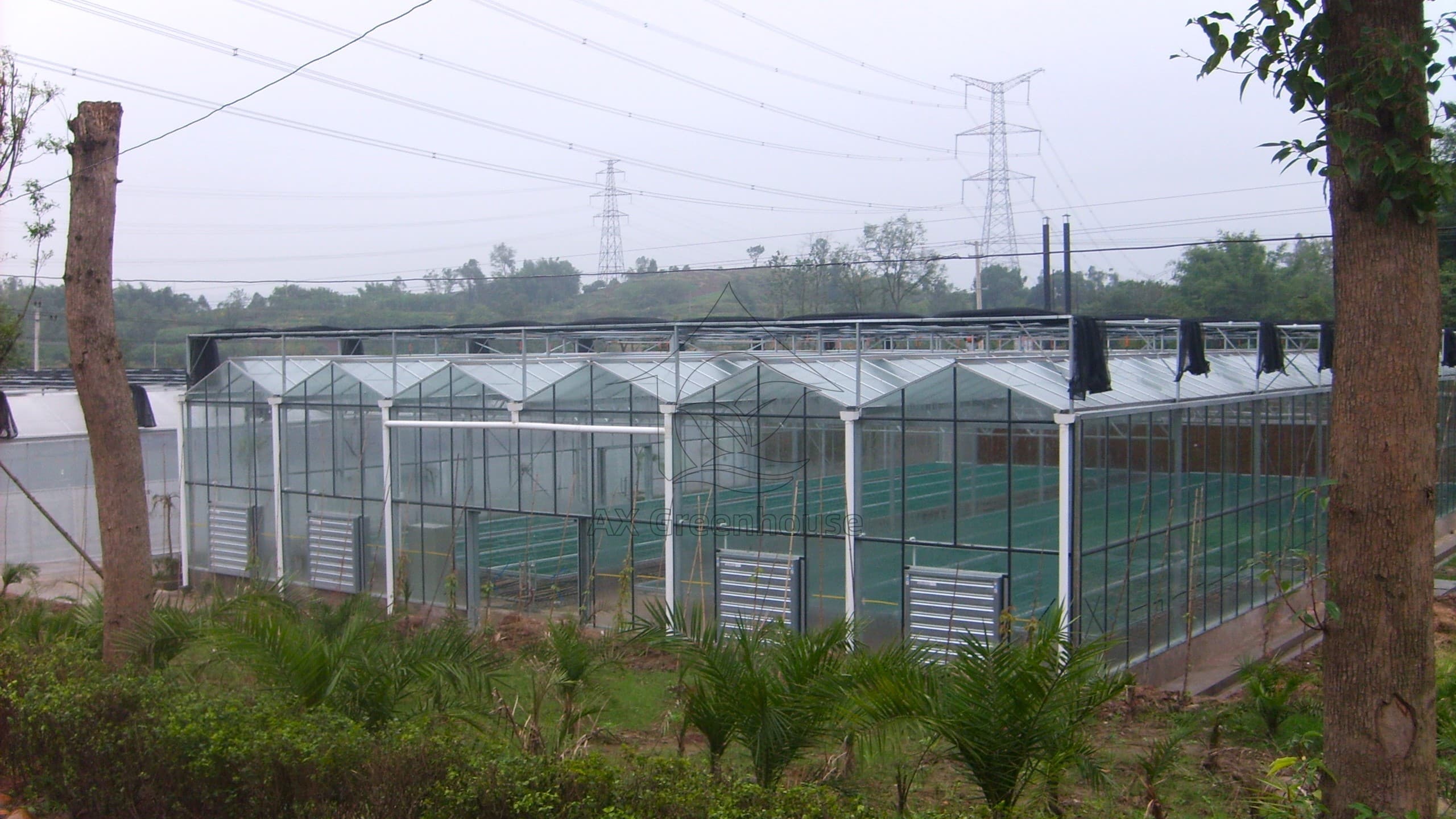venlo glass greenhouse with Circulation fan, external sunshade net