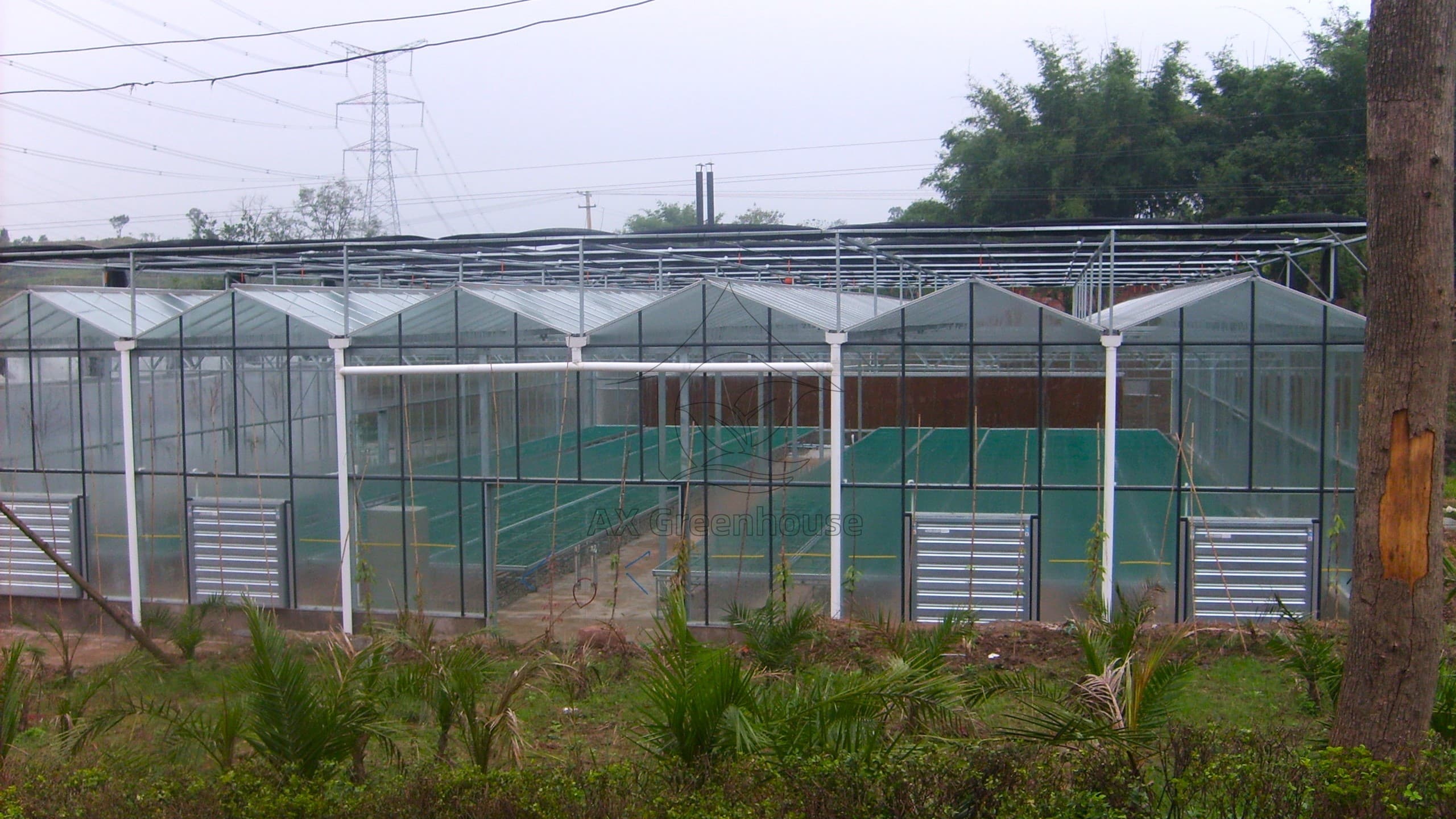 venlo glass greenhouse with Circulation fan, external sunshade net