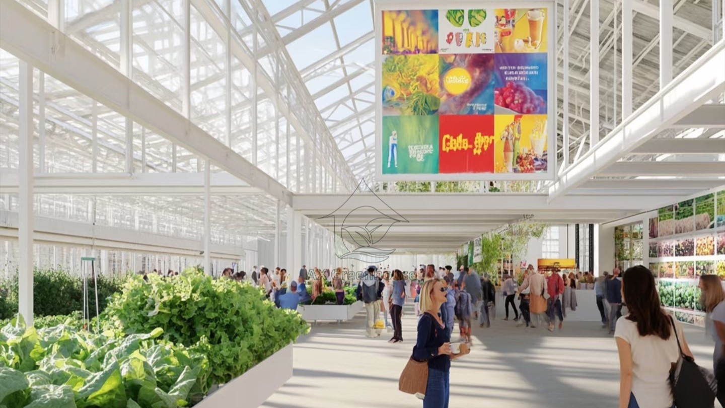 Modern sightseeing glass greenhouse