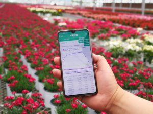 Intelligent control of greenhouses