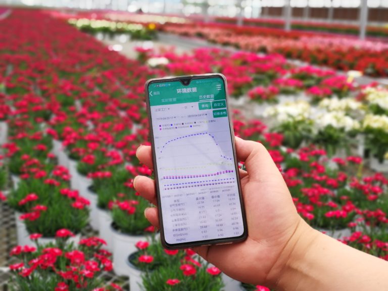 Intelligent control of greenhouses