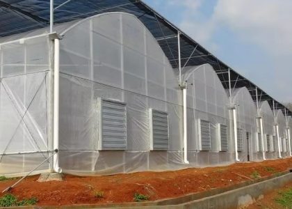 Agricultural tunnel greenhouse tunnel film greenhouse With top shading
