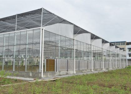 Multi-span connected glass sawtooth agricultural greenhouse Multi-span connected glass sawtooth agricultural greenhouse