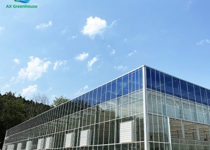 glasshouse glasshouse
