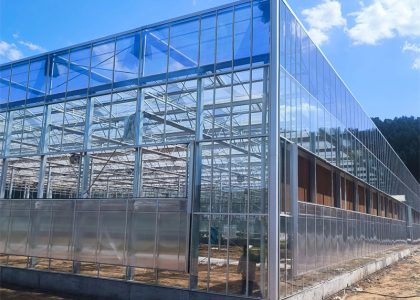 Field project: All-glass smart agricultural greenhouse