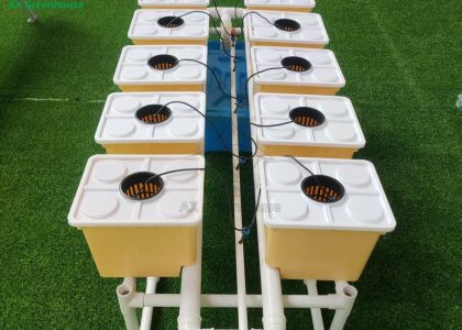 Soilless cultivation Hydroponic Dutch Bucket Growing Systems