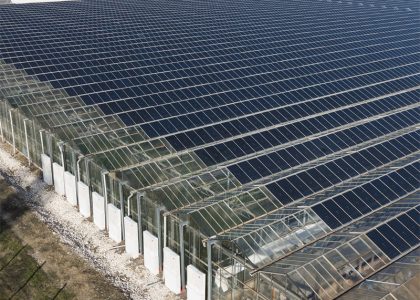 Multi-span Venlo polycarbonate solar photovoltaic greenhouse