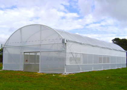 transparent arch single-span film tunnel greenhouse
