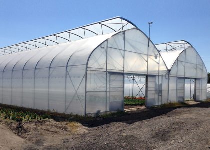 Stable and wind-resistant factory-direct steel tube film multi-span film greenhouse with good ventilation effect Transparent plastic film steel pipe frame multi-span agricultural greenhouse