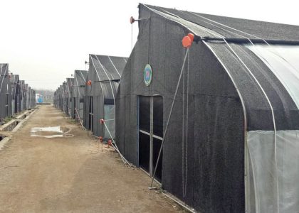 Sawtooth Shade Mushroom Greenhouse